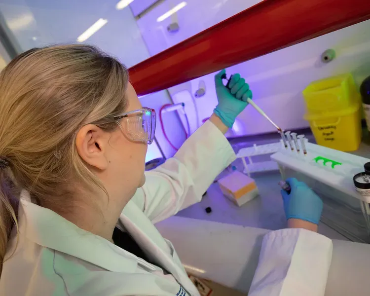 A female scientist wearing a lab coat, safety glasses and gloves pipetting blood samples into a series of test tubes inside of a ventilated fume closet.