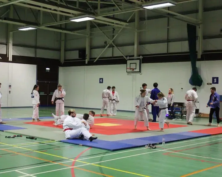 People taking part in Judo 