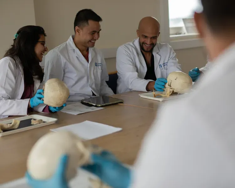 Dental students sitting a table looking over a set of teeth from a skull