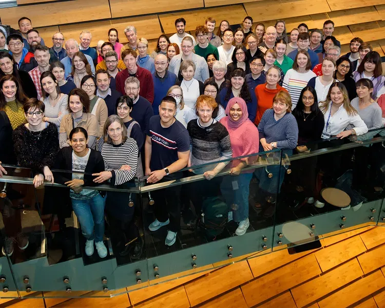Staff in the Division of Molecular, Cell and Developmental Biology standing on stairs for photograph