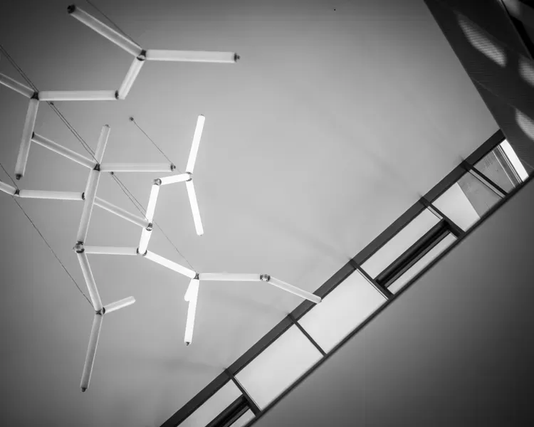 life science building, looking at up the windows 