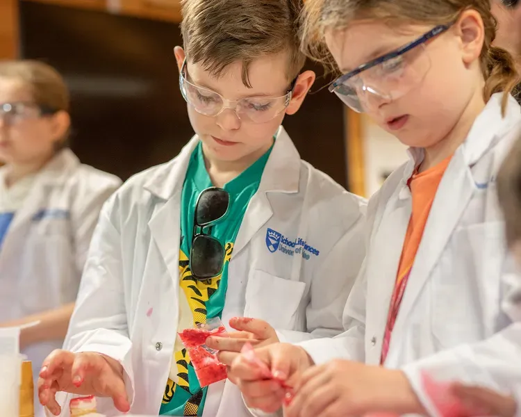 Children wearing lab coats and safety glasses putting red gel into test tubes
