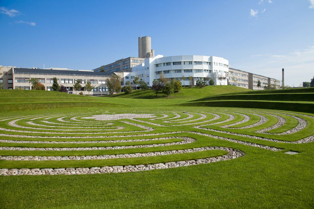 white building behind green grass