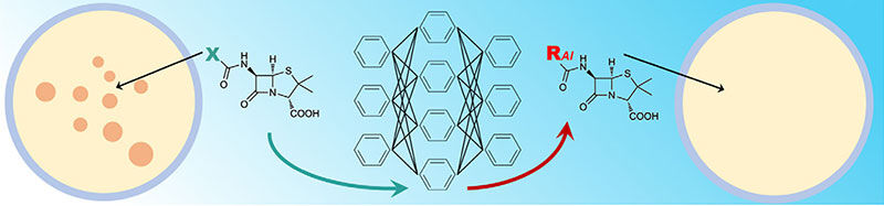 Graphic demonstrating changes in cells