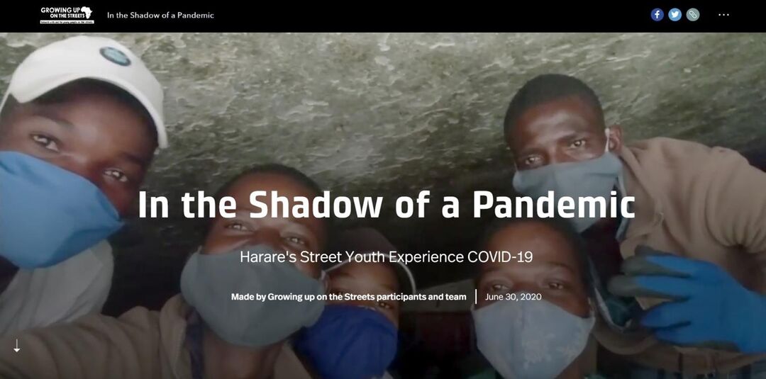 an example of the in the shadow of a pandemic website