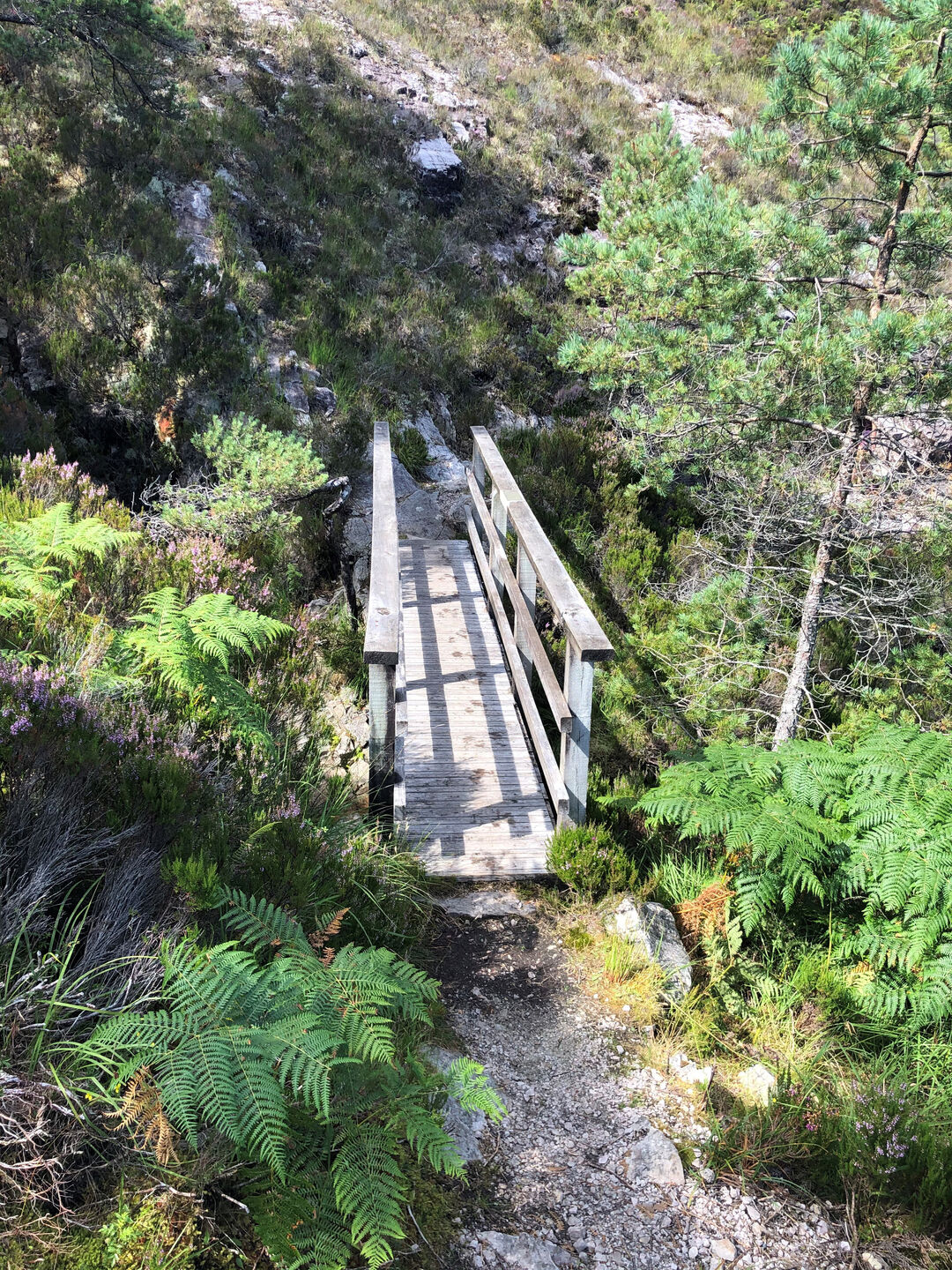 A view from the path leading to the bridge, its gently weathered appearance making it melt into the landscape of ferns and rocks