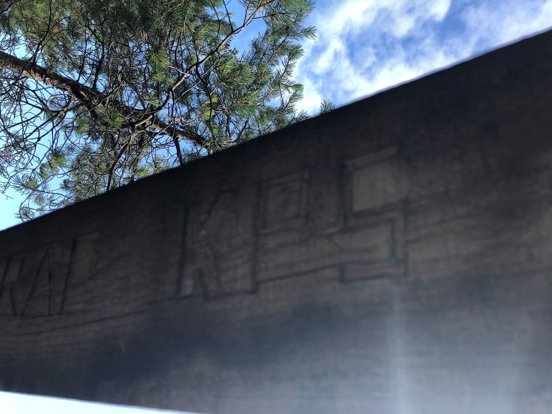 A close up of KPS carved in chunky letters on the wooden handrail of the bridge, other initials, less clear, are to the left, a tree and a sunny sky are the background
