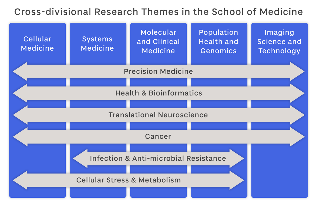 Figure illustrating cross divisional research thematic structure. Divisions are represented as 5 vertical columns.  Overlaying these divisions are arrows with text representing the research themes.