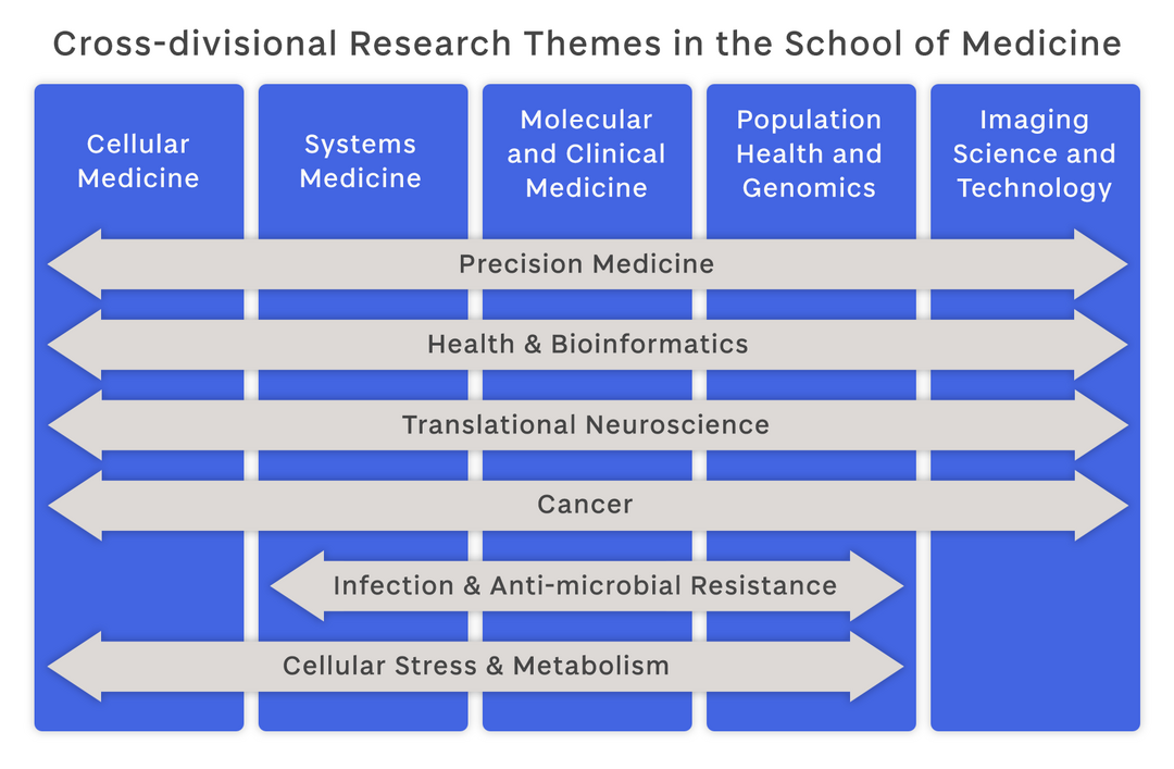 Figure illustrating cross divisional research thematic structure. Divisions are represented as 5 vertical columns. Overlaying these divisions are arrows with text representing the research themes.