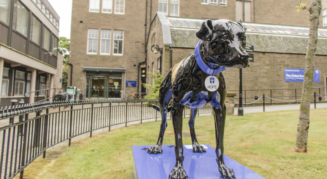 Black Dog statue
