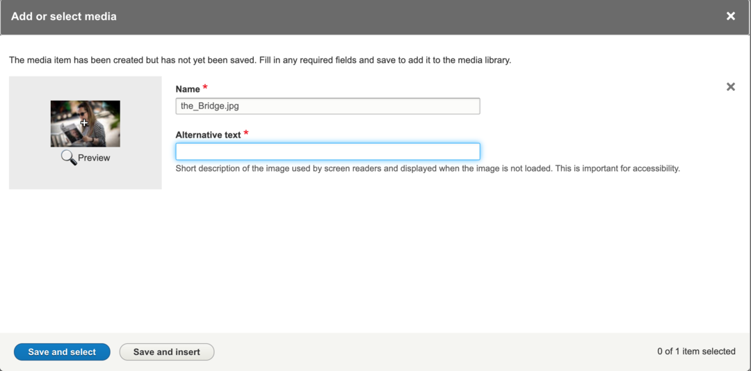 Screenshot of a User Interview for uploading an image and adding alt text
