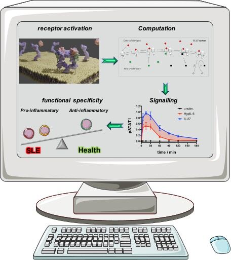 computer showing scientific graphs