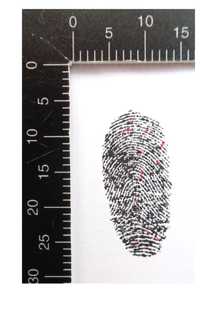 An example of a fingerprint that has been marked-up