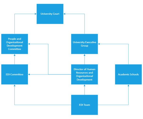 Diagram showing relationships between decision-making bodies responsible for equality, diversity and inclusion