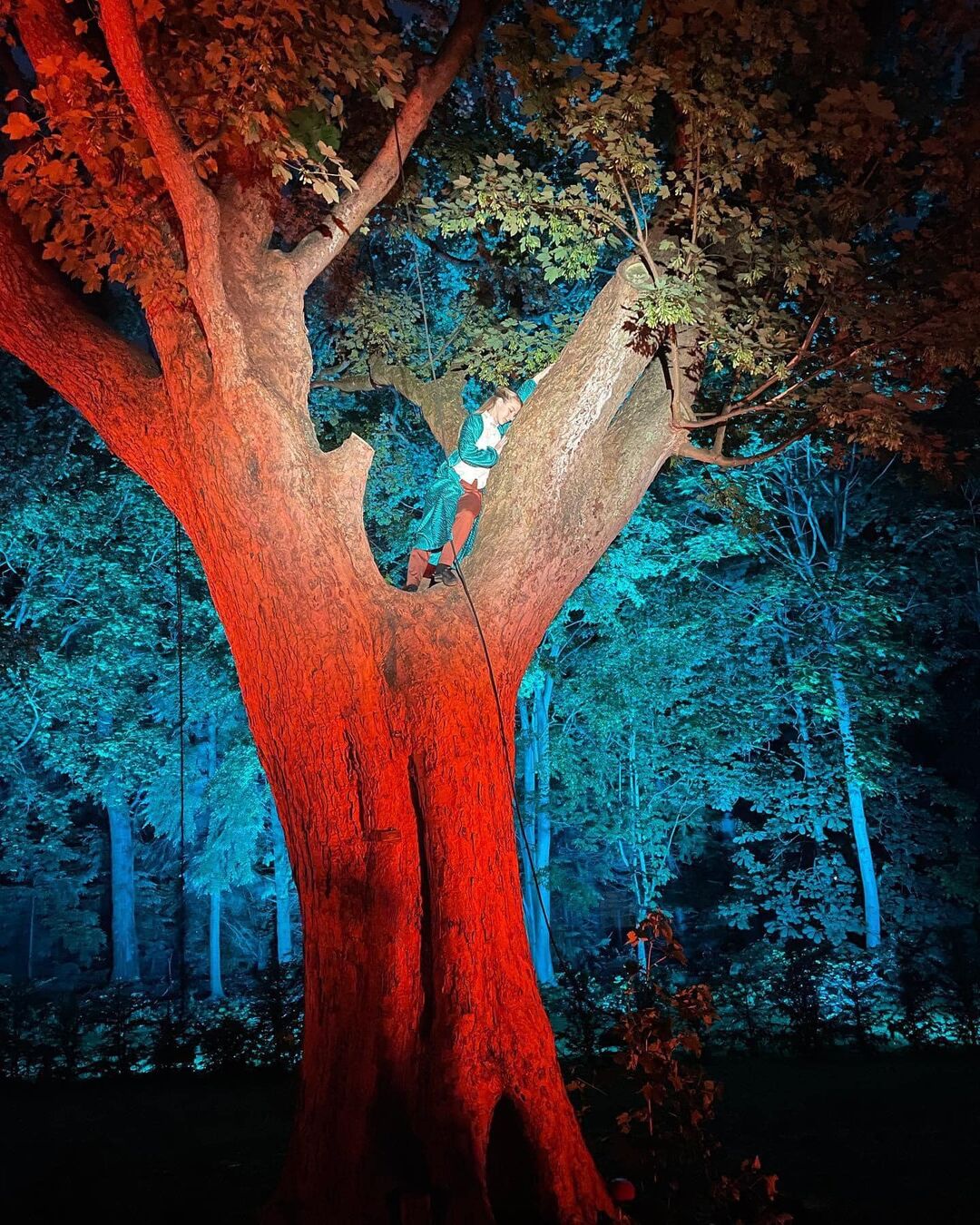 Over the Garden Wall (3)