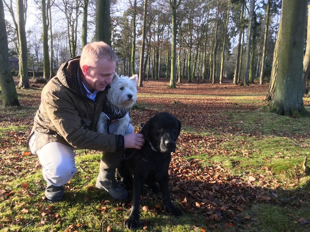 A man kneeling down with two dogs at his side