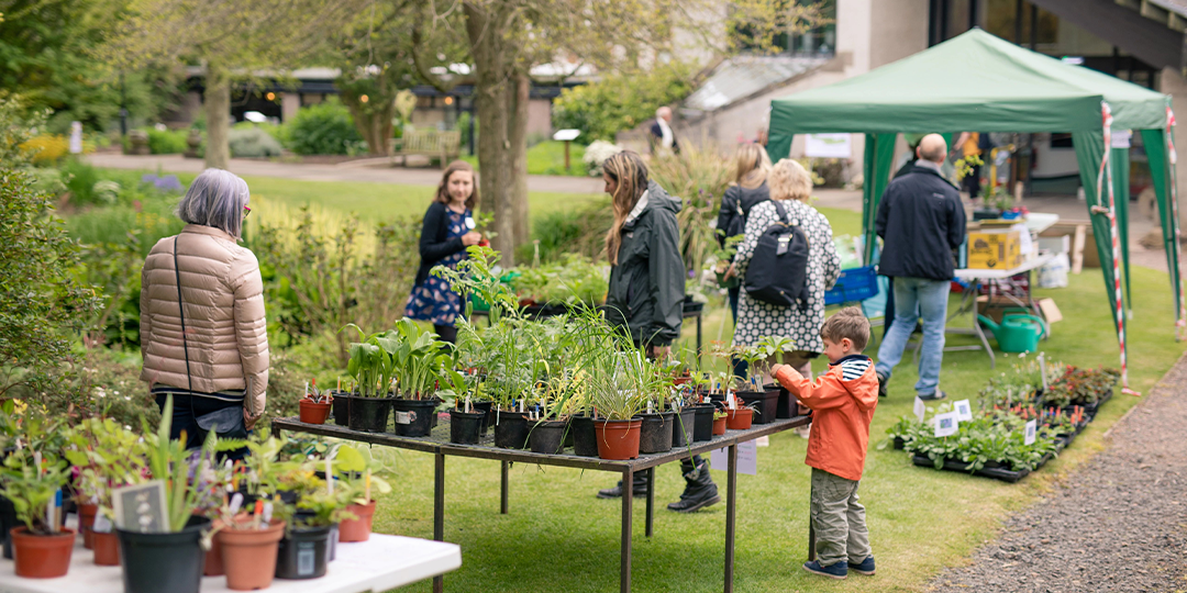 People browse a collection of plants for sale arranged on a table at Dundee Botanic Gardens