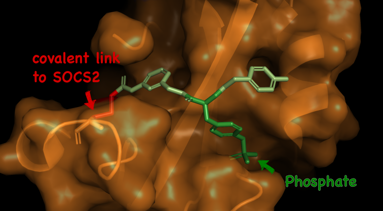 image of the developed compound 