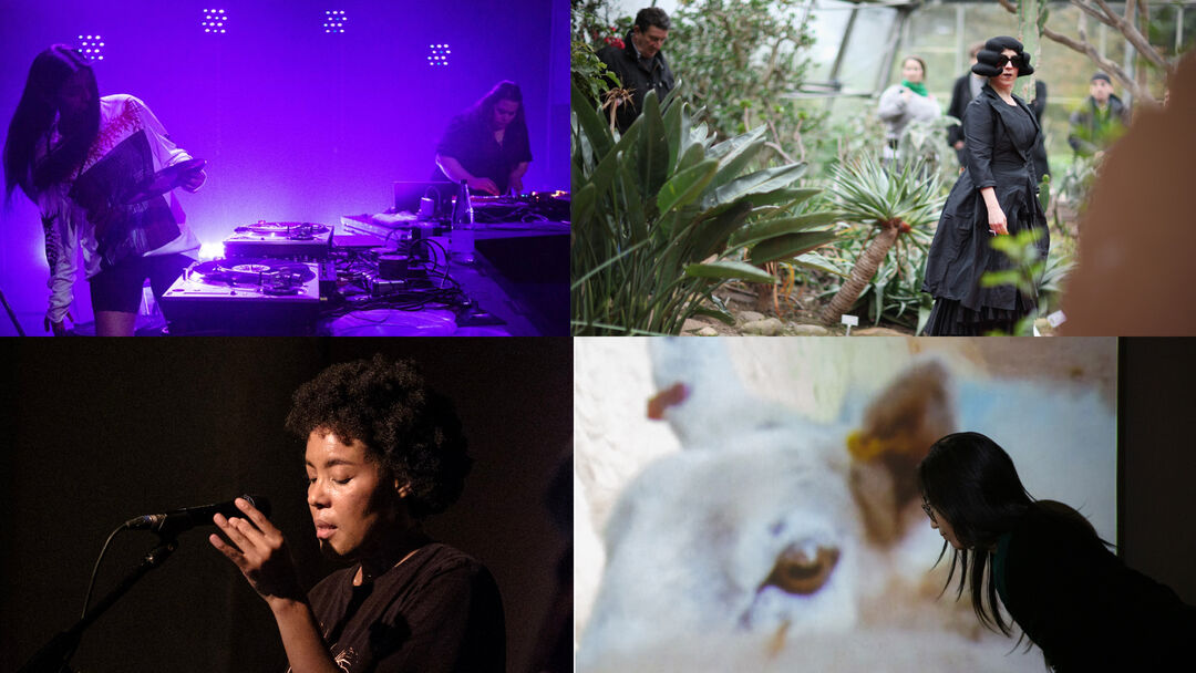 performer head shots