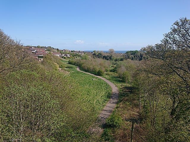 looking down to green park and city in the background