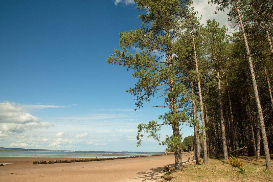 Tentsmuir Beach