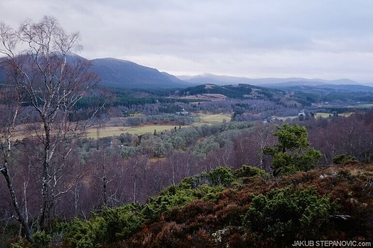 viewpoint overlooking mountains and valley