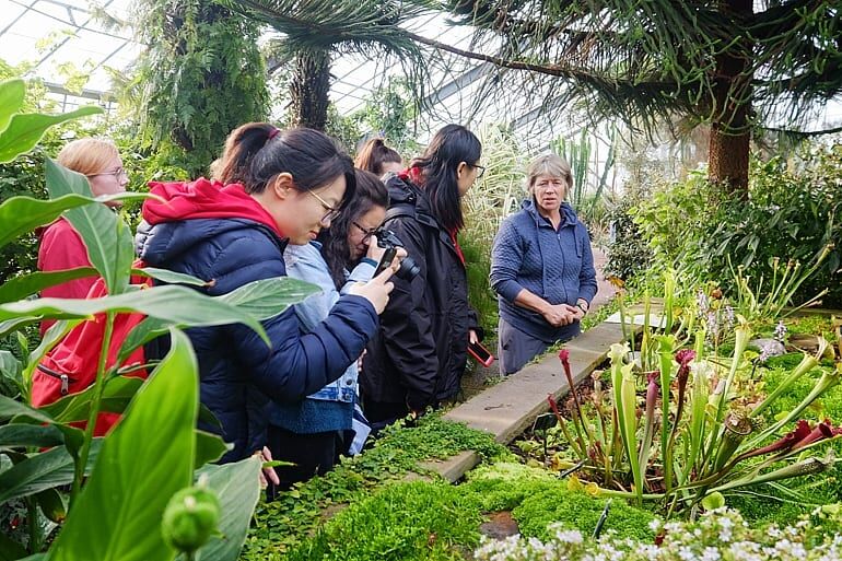 UoD Botanical garden