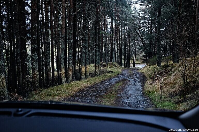 Driving along country road in Scottish forest