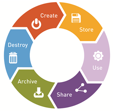 Diagram showing the information lifecycle