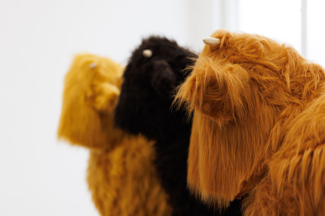 photograph of three fluffy sculptures which appear to be highland cows