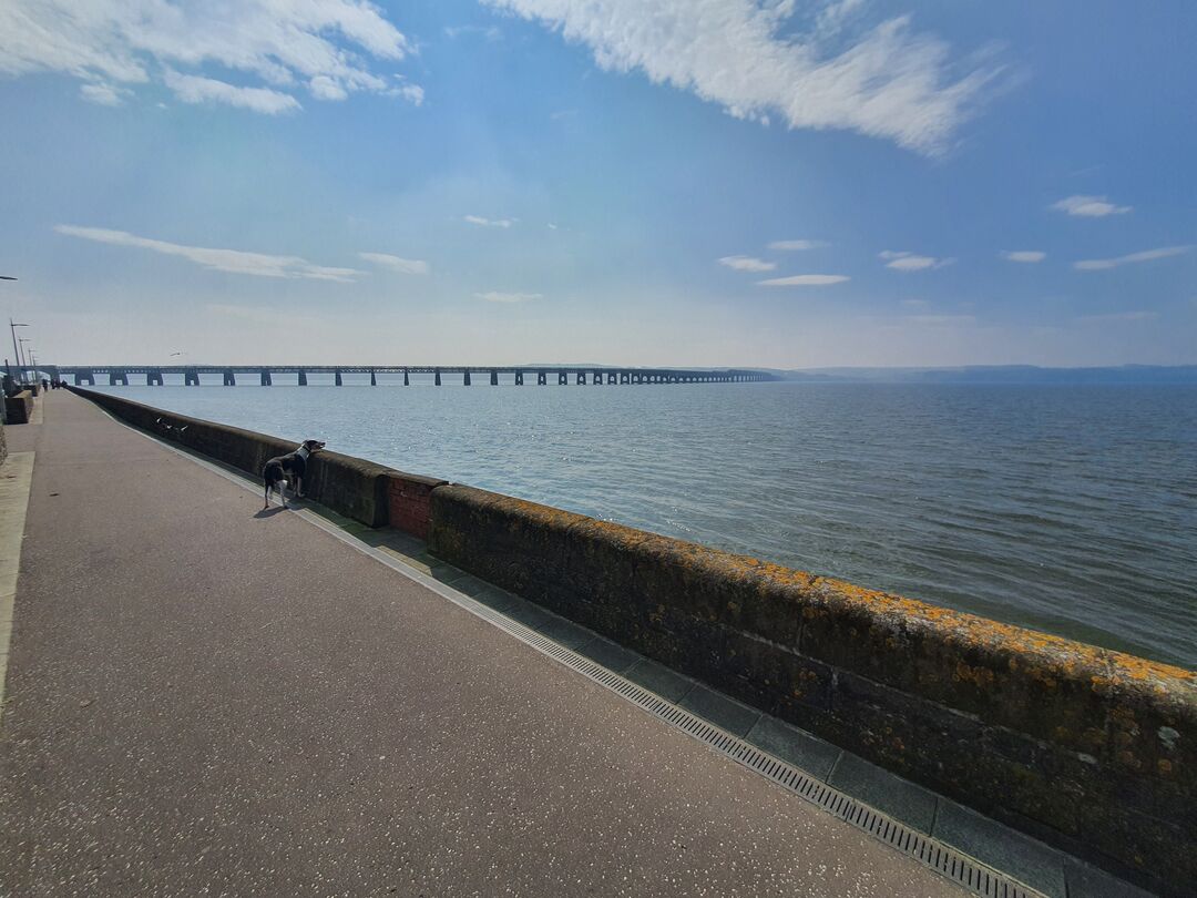 A view of the River Tay looking towards the rail bridge