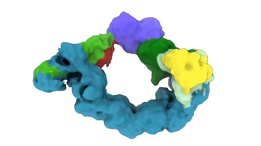 A magnified 3d image of the molecules 'protein degraders'