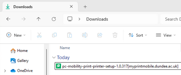 A screenshot of a sample name of the setup file in the Downloads folder