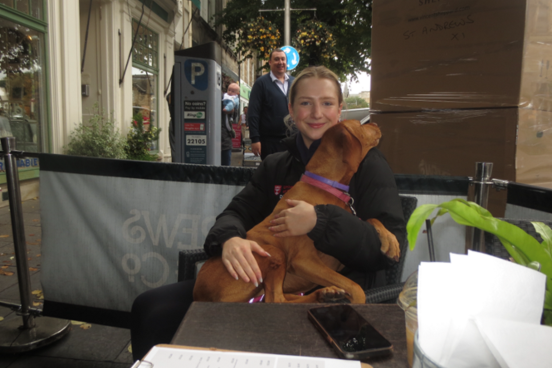 A woman sits at a table outside a cafe with a dog in her lap.