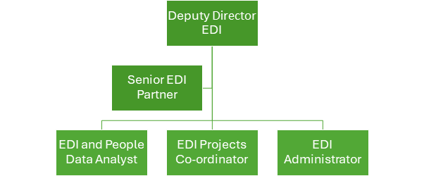Graph shows EDI structure with Deputy Director listed at the top, next Senior EDI partner and three roles under the partner listed as EDI and People Data Anlalyst, EDI Projects Co-ordinator and EDI Administrator