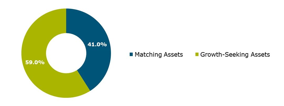 Graph shows 41.0% matching assets and 59.0% growth-seeing assets