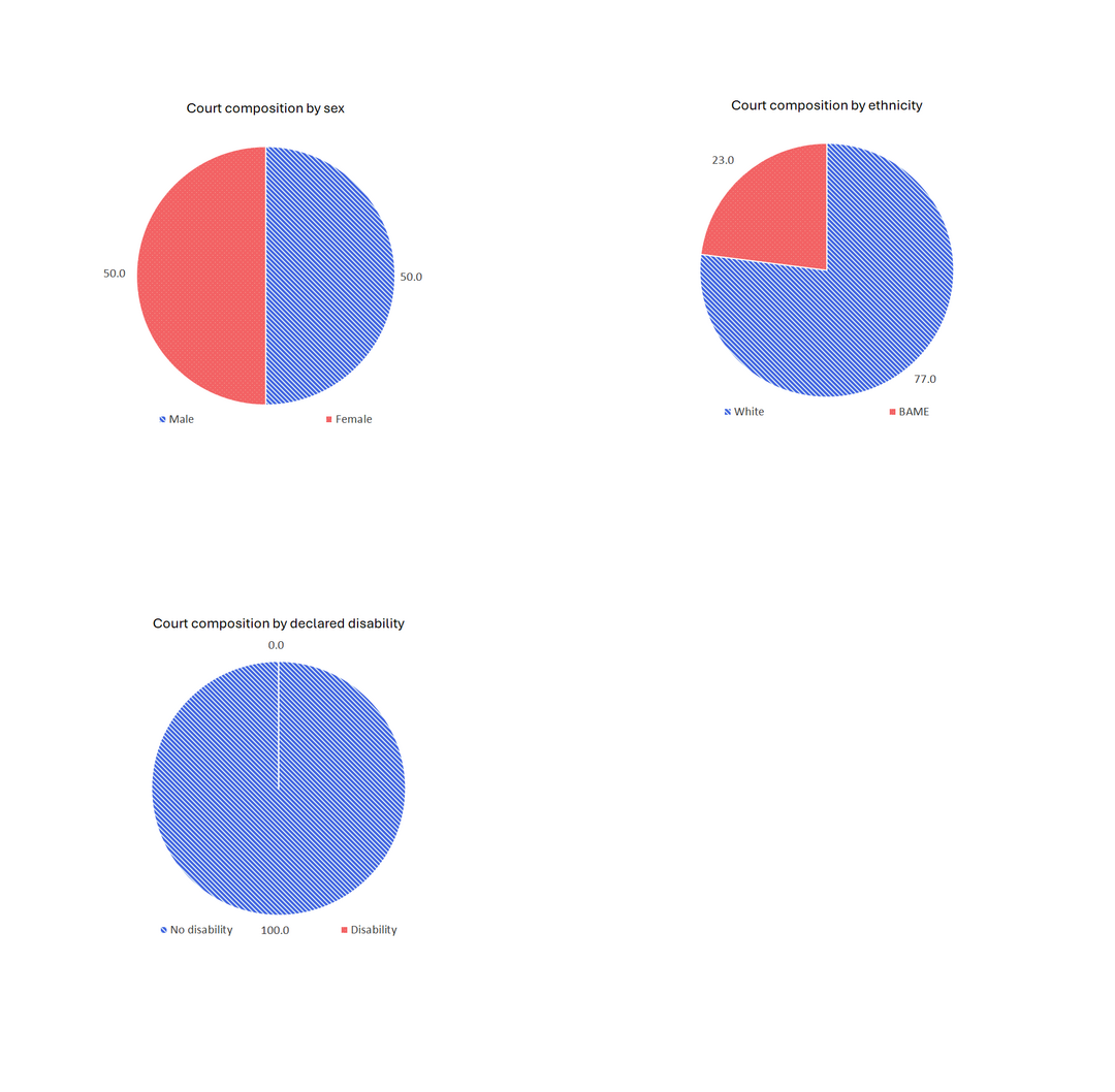 Three graphs showing Court Diversity: Composition by sex 50% male and 50% female, by ethnicity: 23% BAME and 77% white, no disability 100%