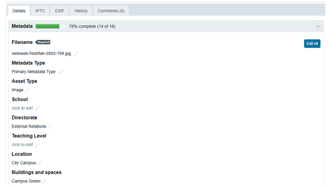 DAM metadata on the details tab.
