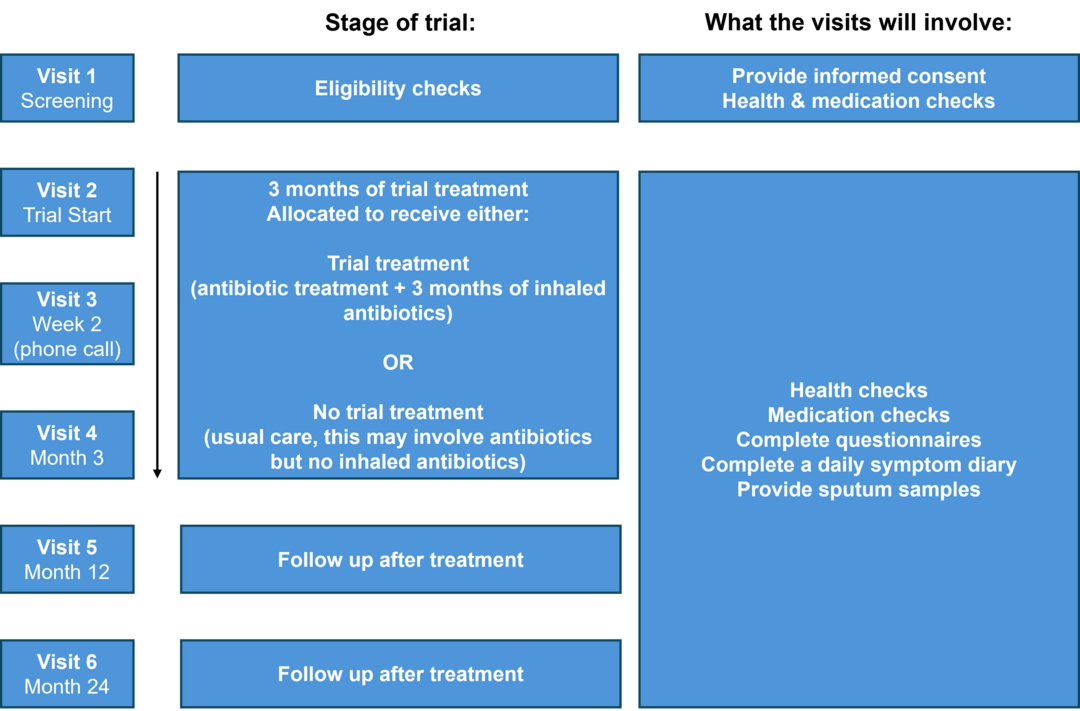 A graph lists six visits as part of the ESCAPE trial and what is involved in each visit. Visit 1 - Eligibility checks. Visit 2, 3 and 4 - Three month trial of treatment either trial treatment(antibiotic treatment plus 3 months of inhaled antibiotics) OR  no trial treatment (usual care, may involve antibiotics but no inhaled antibiotics). Visit 5 - follow up after treatment. Visit 6 - follow up after treatment