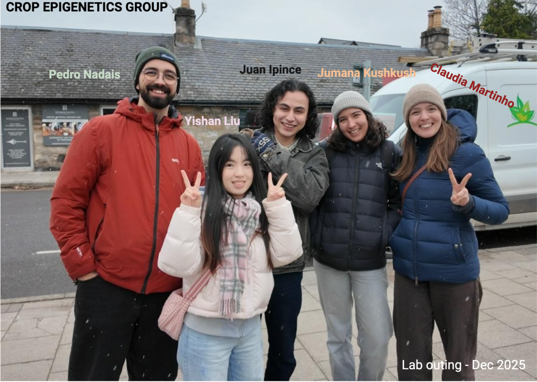 A group of five people stood outside smiling