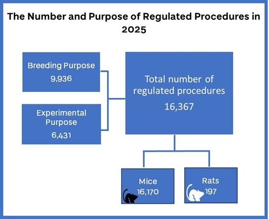 Graphic showing numbers of 2025 animal statistics