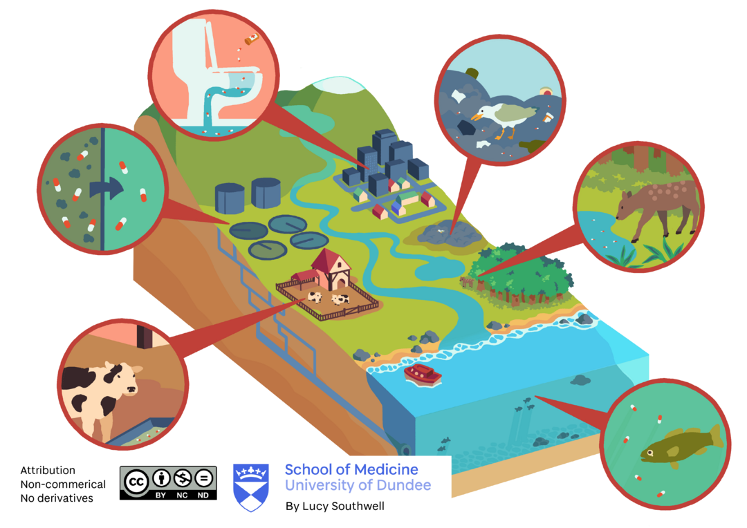Graphic showing environmental effects of prescriptions: polluted water, wildlife consuming medications, landfill, pollution in our water systems.