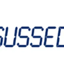 SUSSED logo with an outline of a person walking and text SUSSED following behind 