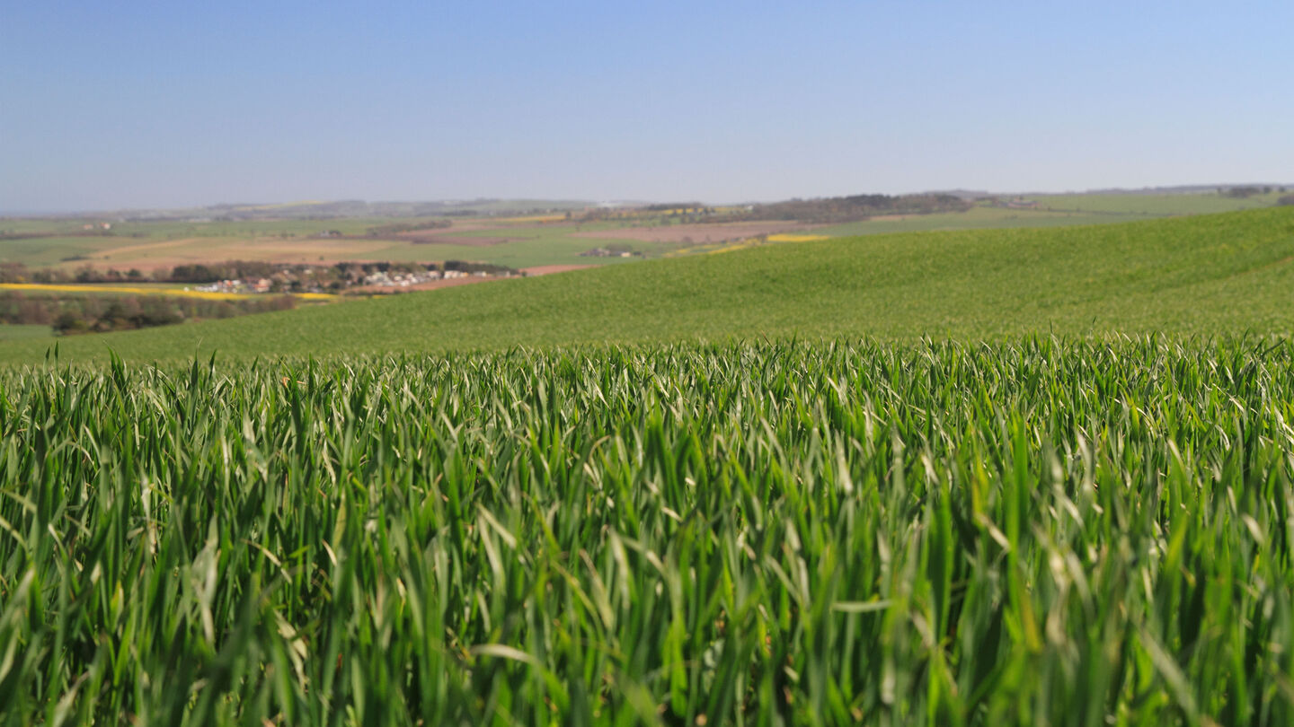 Entry requirements Geography with French MA (Hons) University of Dundee