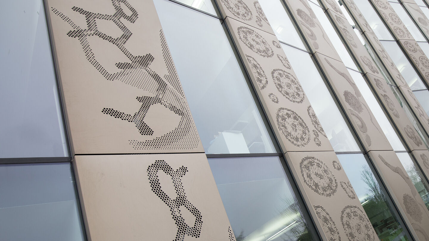 Lifespace University Of Dundee