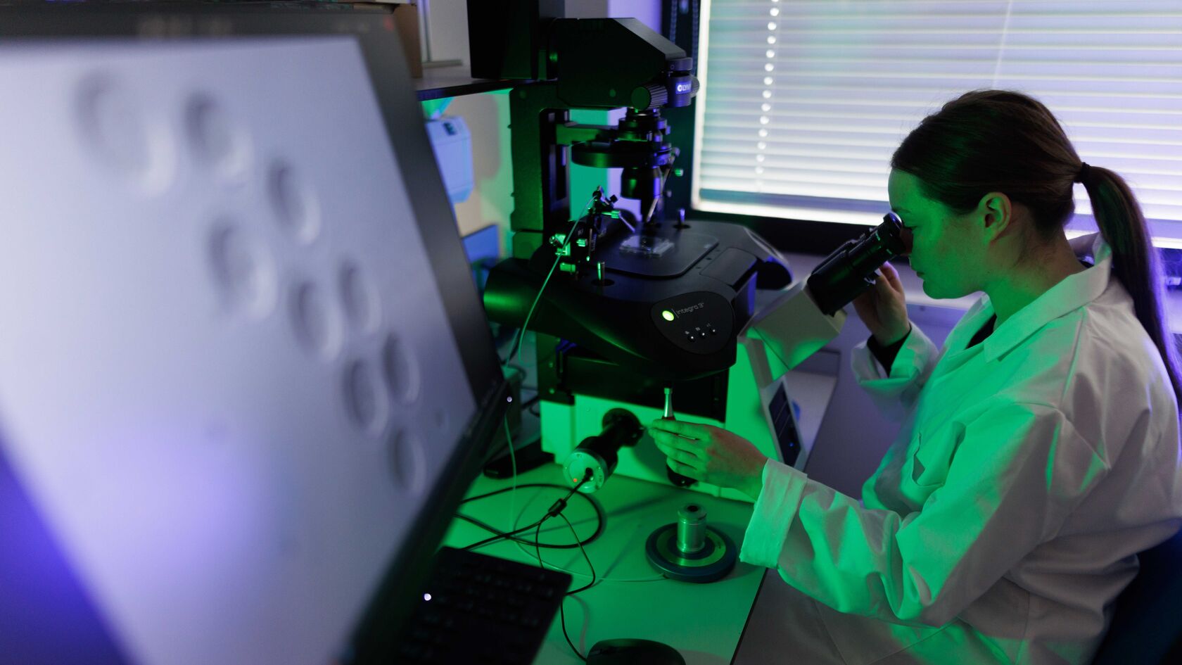 Human Clinical Embryology & Assisted Conception MSc | University of ...